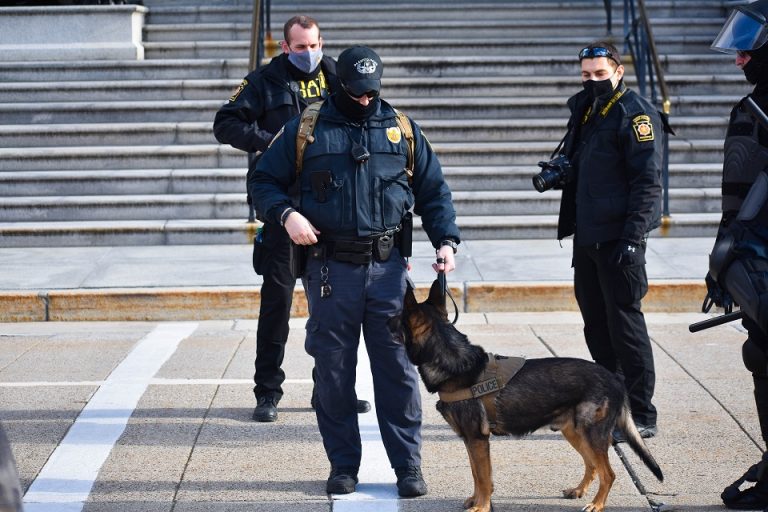 Are These 11 Things Actually Illegal? And If They Are, Why!?